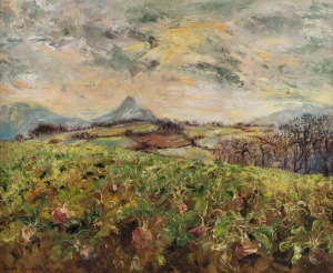 TESSA PERCEVAL (b.1947) Field of swedes in Herefordshire, oil on canvas, ​signed and dated '76 lower left, 63 x 78cm.