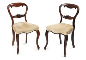 A pair of antique rosewood balloon back dining chairs with French cabriole legs, mid 19th century