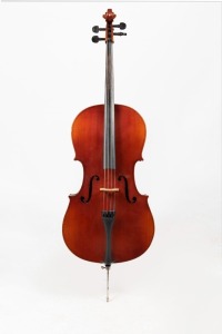 A student cello in soft case, late 20th century, 115cm high