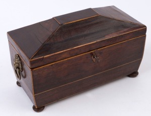 A Regency English tea caddy, rosewood and pine with lion mask handles, early 19th century, 19cm high, 31cm wide, 15cm deep