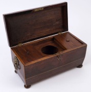 A Regency English tea caddy, rosewood and pine with lion mask handles, early 19th century, 19cm high, 31cm wide, 15cm deep - 2