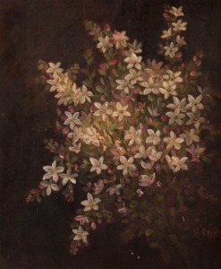 MAY CREETH (Australian, 1854 - 1947), Western Australian wildflowers, oil on canvas, circa 1900, signed lower right, 30 x 25cm.