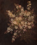MAY CREETH (Australian, 1854 - 1947), Western Australian wildflowers, oil on canvas, circa 1900, signed lower right, 30 x 25cm.