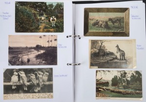 POSTCARDS - AUSTRALIAN STATES - NEW SOUTH WALES: Collection in two volumes with an approximate 60/40 split of earlier and later (post 1960) cards, with a good selection of Sydney cards including Dr Sheldon's magnetic liniment advertising on a view of Dunbar Rocks, plus lots of coastal/beach/river views, important buildings, street scenes, etc; also regional cards with real-photo including view of Carcoar (by E.A. Lumme), 'Glimpse of Narooma, showing Mt Dromedary',