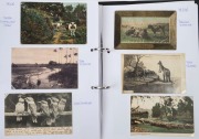 POSTCARDS - AUSTRALIAN STATES - NEW SOUTH WALES: Collection in two volumes with an&nbsp;approximate 60/40 split of earlier and later (post 1960) cards, with a good selection of Sydney cards including Dr Sheldon's magnetic liniment advertising on a view of Dunb