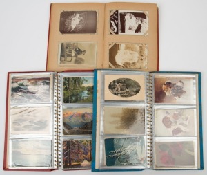 POSTCARDS - THEMATICS - VARIOUS: assortment of mostly early 1900s cards in three albums each labelled 'Sundry', one album containing real-photo portraits of family members or groups; the other albums covering various themes including topographical views, stage actresses/personalites, flowers, animals & birds (incl. Neville Cayley image of 'Regent Birds'), plus some modern cards including library promotional types.