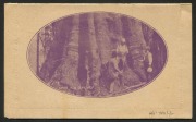 AUSTRALIA: Letter Cards: 1911-12 (BW:LC13/50+108A) 1d KGV&nbsp;Full-Face&nbsp;Design in purple Reply Lettercard,&nbsp;zig-zag Rouletted 15&nbsp;on&nbsp;Buff Card, "'Giant Red Gum, Vic' and 'Queen's Garden Perth. WA'&nbsp;" illustrations, fine unused, Cat. $200. - 2