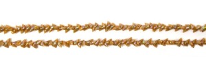 Mariner shell bead necklace, Tasmanian origin, 180cm long