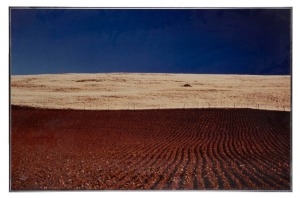 LORD SNOWDON [Antony Armstrong-Jones] (1930 - 2017), Tasmanian Landscape, original colour-print photograph, 50 x 76cm. Lord Snowdon was commissioned, in 1980, to undertake a photographic essay of Tasmania, covering as much of the picturesque island as po