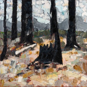 MITCHELL McAULEY (b.1962-), (Landscape), oil on canvas, 60 x 60cm. With James Makin Gallery label verso.