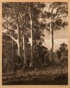 JOHN KAUFFMANN (1864-1942), Golden Gleams, silver gelatin photograph, signed and titled on the lower mount, ​​​​​​​30.5 x 24cm, 53 x 39cm overall