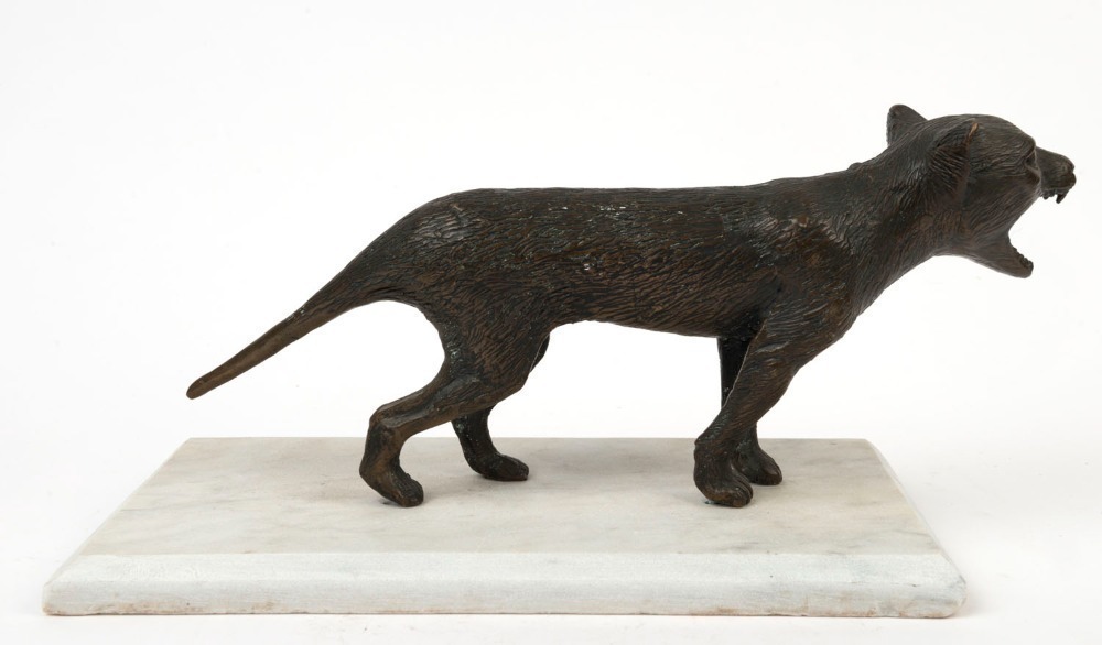 Tasmanian Tiger (Thylacine) bronze statue on marble base, 20th century ...