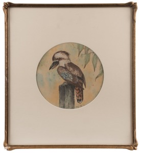 McQUILTY, (kookaburra), watercolour, signed lower right and dated 1911, 22cm diameter, 48 x 43cm overall