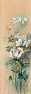 ARTIST UNKNOWN, Australian wildflowers, watercolour, signed lower right "Atah", ​​​​​​​26 x 9cm, 37 x 20cm overall