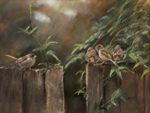 SUSAN GARRETT, Sparrows, pastel, signed lower right "Susan Garrett", 32 x 41cm, 59 x 69cm overall