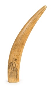 An antique scrimshaw walrus tusk with female and male portraits, 19th century, 38cm long