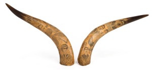 A pair of antique scrimshaw cow horns, 19th century. With accompanying note "JOHN MENZIES, Porter Hill, Maldon. Workman on property", 41cm high