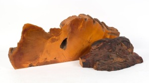 Tasmanian birdseye huon pine burl wood specimen, and a huon pine slab, (2 items) 45cm and 87cm wide