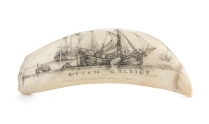 GARY TONKIN Australian scrimshaw whales tooth titled "DUTCH GALLIOT", Albany, Western Australian origin, 20th century, 14cm long800