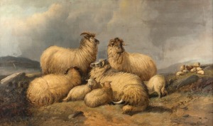 ROBERT WATSON (New Zealand, working 1877-1920) (attributed), (highland sheep), oil on canvas, 75 x 125cm, 88 x 138cm overall