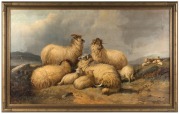 ROBERT WATSON (New Zealand, working 1877-1920) (attributed), (highland sheep), oil on canvas, 75 x 125cm, 88 x 138cm overall - 2