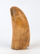 An antique sperm whale tooth with rich 19th century patination, 12cm high - 2