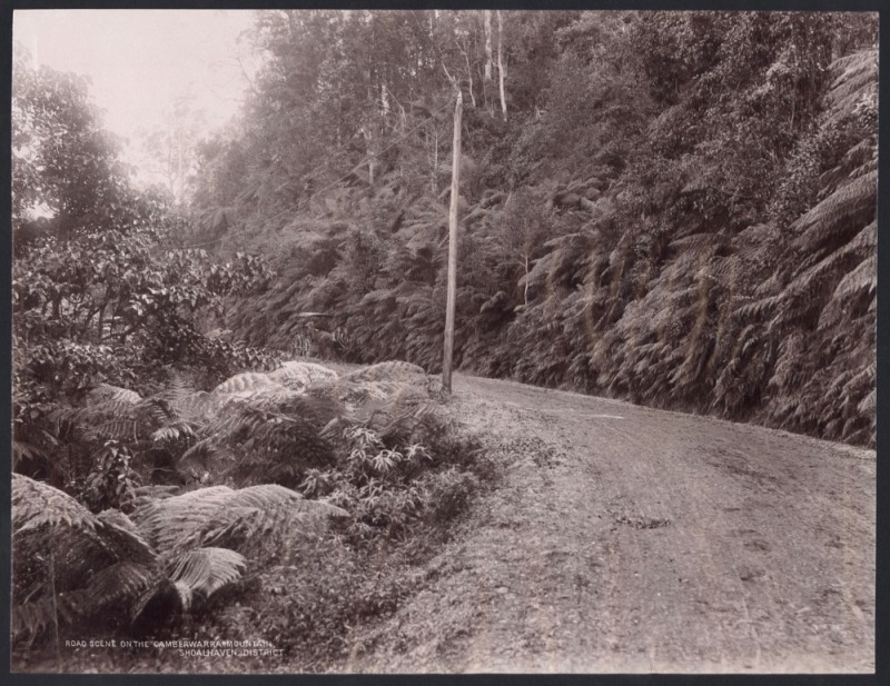 SHOALHAVEN DISTRICT (N.S.W.). Two sepia toned albumen prints, each captioned lower left: I.) Road Scene Kangaroo Valley, II.) Road Scene On The Camberwarra Mountain. sheet size 27 x 35cm each