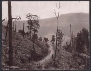 SHOALHAVEN DISTRICT (N.S.W.). Two sepia toned albumen prints, each captioned lower left: I.) Road Scene Kangaroo Valley, II.) Road Scene On The Camberwarra Mountain. sheet size 27 x 35cm each - 2