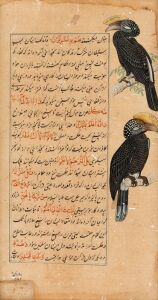 An antique Islamic Indo-Persian illuminated manuscript page, 19th century. One loose folio with recto, finely illustrated with images of two hornbills. Ink and opaque watercolour on paper, mounted in lucite panel. 34.8 x 18.4cm