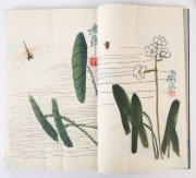 QI BAISHI: A collection of woodblock colour prints on ricepaper by Qi Baishi, Zhang Daqian, Chen Shizeng in two volumes with paper wrappers. Each volume with calligraphy “Beijing Rong Bao Zhai new edit of selected painting series. 91 years old Baishi old - 6