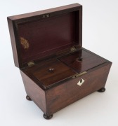 An antique English rosewood tea caddy with twin compartments, early 19th century, ​​​​​​​14cm high, 22cm wide, 14cm deep - 2