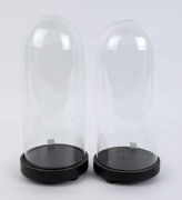 A pair of antique French cylindrical glass domes on ebonised timber bases with three squat bun feet, 19th century.  34.5cm high, 14.5cm diameter.