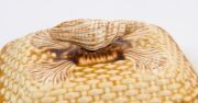 BENDIGO POTTERY basket weave sardine dish and cover with conch shell finial, 19th century, ​​​​​​​21.5cm wide - 2