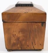 An antique tea caddy with huon pine veneer finish, 19th century, ​​​​​​​12.5cm high, 20cm wide, 11cm deep - 3