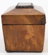 An antique tea caddy with huon pine veneer finish, 19th century, ​​​​​​​12.5cm high, 20cm wide, 11cm deep - 5