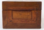 An antique box with starburst top, various timbers including casuarina beefwood, musk, mottled kauri, cedar, ebony, acacia and marri, 19th century, 12.5cm high, 28cm wide, 17.5cm deep - 4