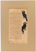 An antique Islamic Indo-Persian illuminated manuscript page, 19th century. One loose folio with recto, finely illustrated with images of two hornbills. Ink and opaque watercolour on paper, mounted in lucite panel. 34.8 x 18.4cm Note: The text is written - 2