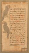 An antique Islamic Indo-Persian illuminated manuscript page, 19th century. One loose folio with recto, finely illustrated with images of two hornbills. Ink and opaque watercolour on paper, mounted in lucite panel. 34.8 x 18.4cm Note: The text is written - 3