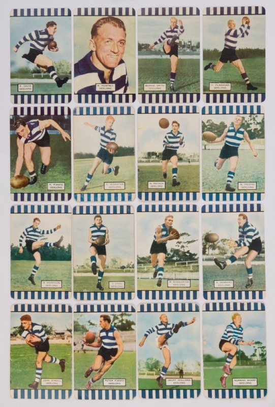 COLES 1954-55 - GEELONG: group of cards comprising 1954 Series 1 (5) including Bob Davies & Peter Pianto,1954 Series 2 (7) and 1955 Series 3 (4, Norman Sharp edge fault); corner mount impressions & edge blemishes, overall fair to VG. (16).