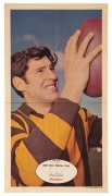 1971 SCANLENS 'FOOTBALLERS' POSTER - HAWTHORN: Peter Hudson, poster #19 [1/24]. Rare.