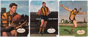 'HEINZ 57' VFL PLAYER POSTERS - HAWTHORN PLAYERS: comprising Peter Hudson, Graham Arthur & John Peck, circa 1966; some faults, folds and spotting, fair condition overall, each 55x41cm. (3) .