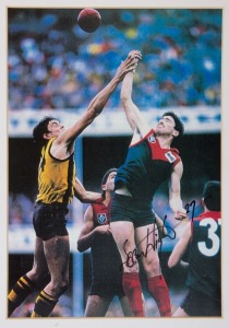 PLAYER AUTOGRAPHED ACTION IMAGES: matt finish images, all 27x19cm and window mounted on card, comprising ESSENDON: Simon Madden & Terry Daniher; MELBOURNE: Sean Wright: RICHMOND: Dale Weightman & Michael Roach; SYDNEY SWANS: Gerard Healy. (6)