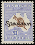 £1 Bright-Brown & Blue, handstamped "Specimen"; a delightful example, unmounted with full gum. BW:51x - $3750.