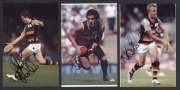 ADELAIDE - SIGNED PLAYER PHOTOS: selection including Andrew Mcleod; Mark Ricciuto & Scott Thompson, various sizes, largest Andrew Mcleod (20x30cm), generally very good condition. (10) - 2