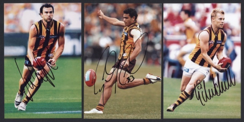 HAWTHORN - SIGNED PLAYER PHOTOS: selection including Dermot Brereton, Sam Mitchell, Luke Hodge, Shane Crawford & Buddy Franklin; various sizes, largest 20x30cm, generally very good condition. (7)