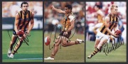 HAWTHORN - SIGNED PLAYER PHOTOS: selection including Dermot Brereton, Sam Mitchell, Luke Hodge, Shane Crawford & Buddy Franklin; various sizes, largest 20x30cm, generally very good condition. (7)