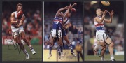 WESTERN BULLDOGS - SIGNED PLAYER PHOTOS: selection including Jason Akermanis, Robert Murphy, Barry Hall & Scott West;&nbsp;various sizes, largest 20x30cm, generally very good condition.&nbsp;(10) - 2