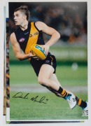 RICHMOND - PLAYER SIGNED COLOUR PRINTS:&nbsp;action images (46x31) of Dustin Martin, Matthew Richardson, Nathan Brown, and Andrew Raines.&nbsp;&nbsp;(4 items)