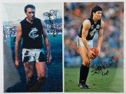 AFL/VFL&nbsp;-&nbsp;PLAYER SIGNED COLOUR PRINTS: mostly action images (46x31cm) of Bobby Skilton (South Melbourne), Paul Roos&nbsp;(Sydney Swans coach, image showing him raising the 2005 AFL Premiership Cup), Warren Tredrea (Port Adelaide), Alistair Lynch (Brisbane, ima - 5