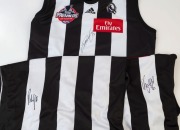 COLLINGWOOD: 2010 Premiership Guernseys (2, Size L & XL), the former signed by Dane Swan, the latter by Dayne Beams; also 2010 Premiers gold logo guernsey (size L) signed by Scott Pendlebury. (3)&nbsp;